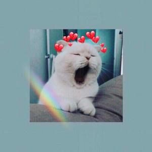 Meet your Posher, Angel